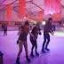 Iceskating at the RDS