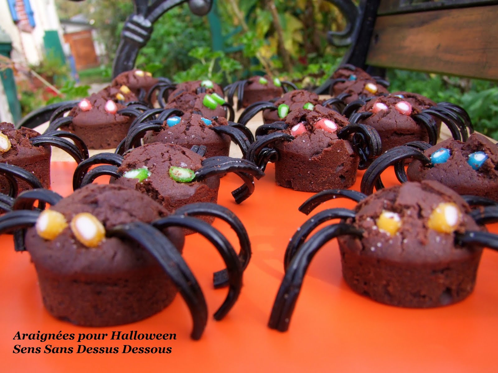 http://4.bp.blogspot.com/-kta1BiLWZtQ/Tq8AoG-q6SI/AAAAAAAACx8/cZgmwMkCuhY/s1600/Araign%2525C3%2525A9es%252BHalloween%252BSSDD3.jpg