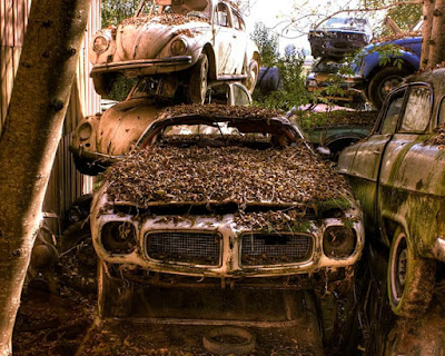 Carros Abandonados