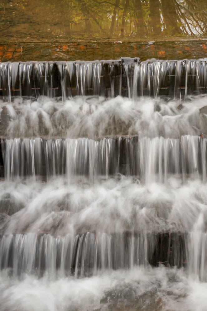 Ann Miles Photography Woodgate Valley Country Park