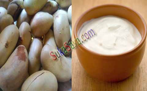 Masker Biji Nangka Masker Biji Nangka