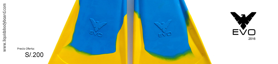 PUBLICIDAD EVO FINS 2016