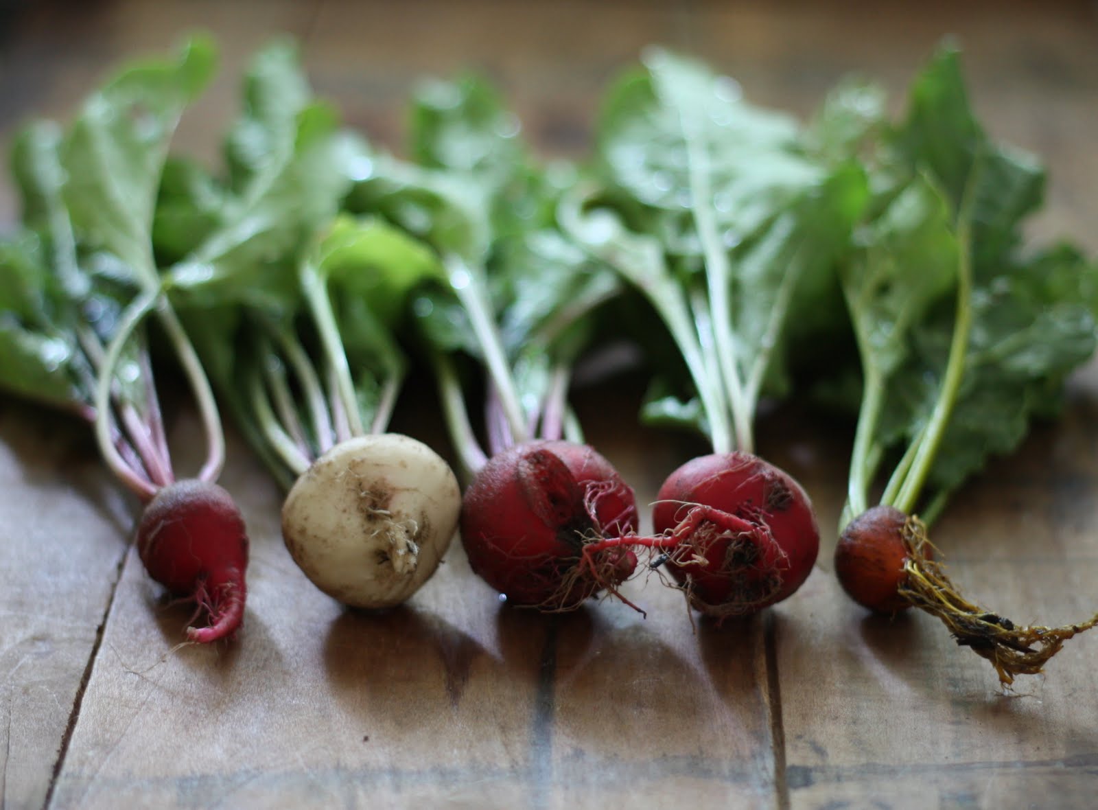 E.A.T. Beets or Radishes? Beets me.....