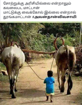 மாட்டுப் பொங்கலுக்கு...