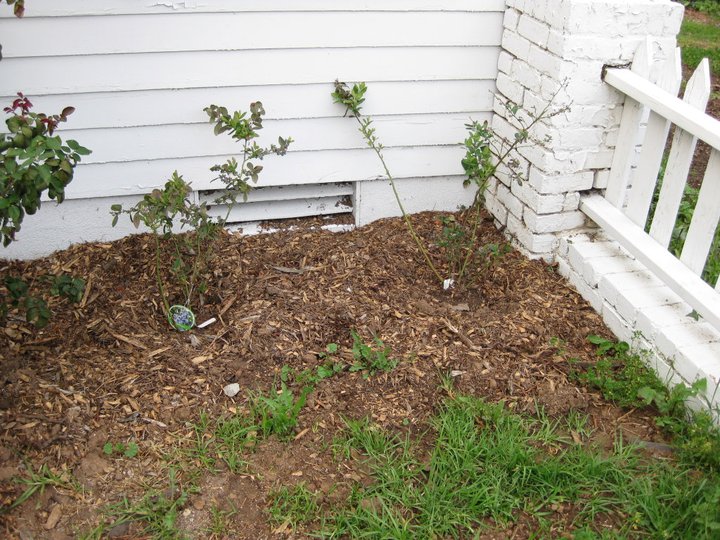 Striving Toward Sustainable: Fruity Fun