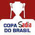 Com reservas e cara nova, Botafogo enfrenta o Capivariano, pela Copa do Brasil