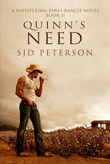 Guest Review: Quinn’s Need by SJD Peterson