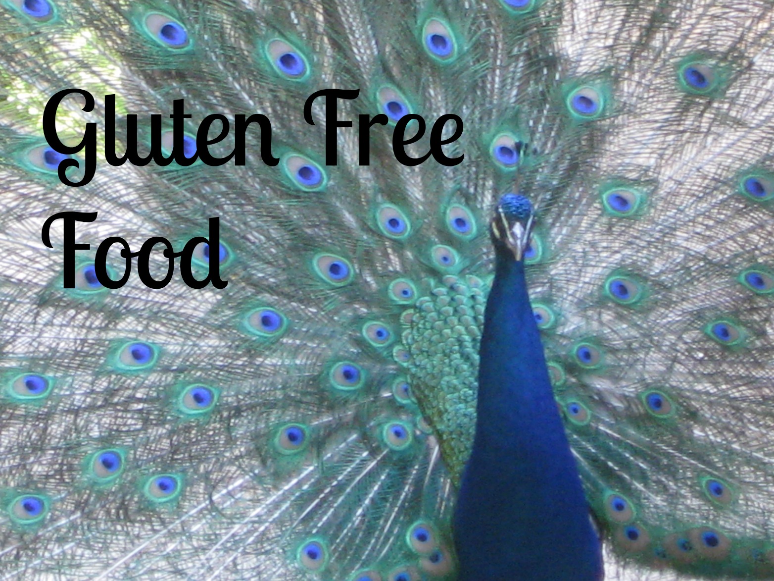 Gluten free food reviews