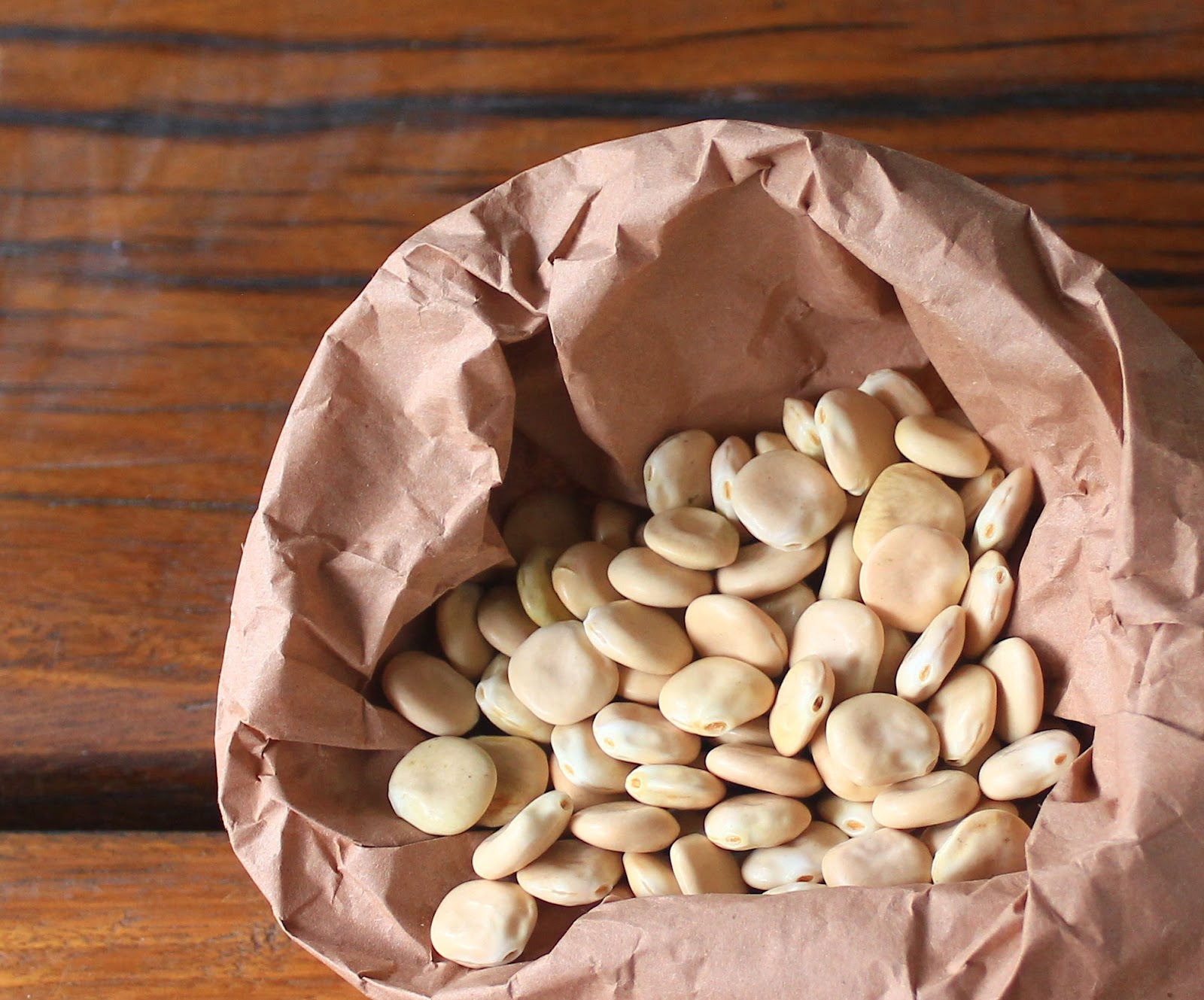 the wren and rabbit lupini beans how to