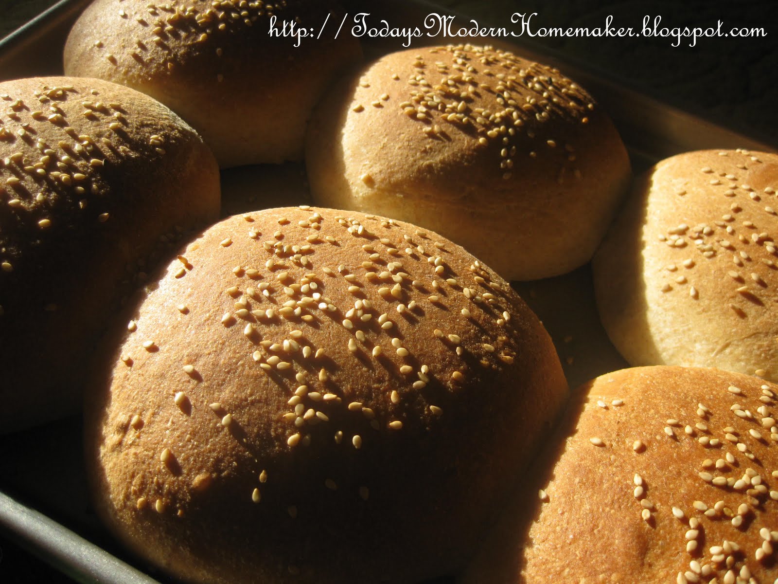 Today's Modern Homemaker Whole Wheat Hamburger Buns