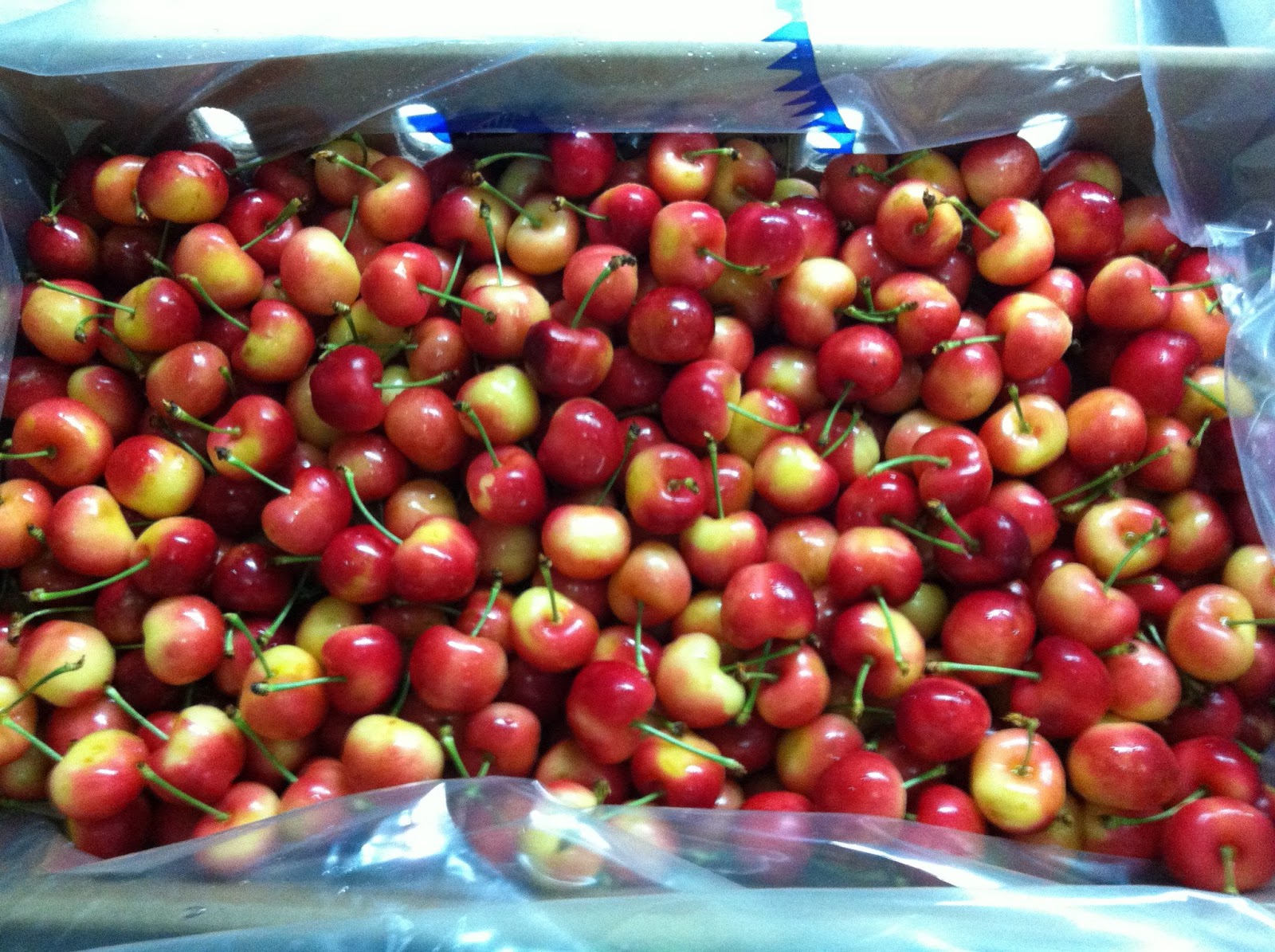 Produce Clerk The Produce Clerks Handbook by RICK CHONG