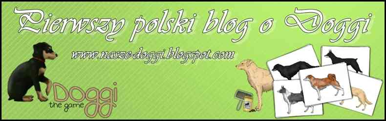 Pierwszy polski blog o Doggi