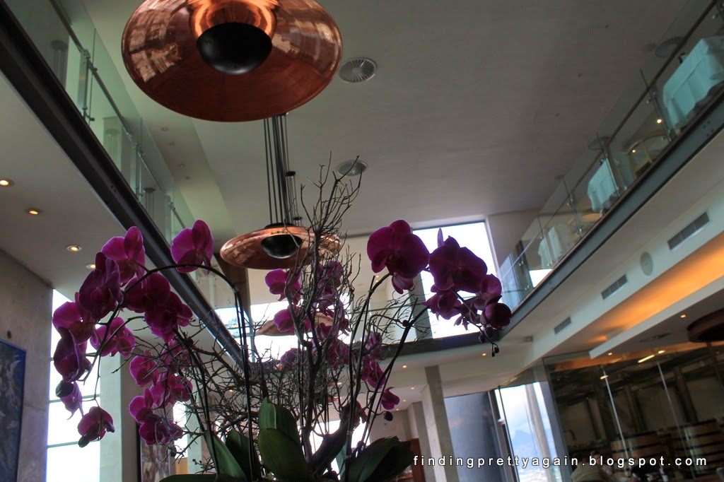 Finding Pretty Again Waterkloof Wine Estate, Somerset West