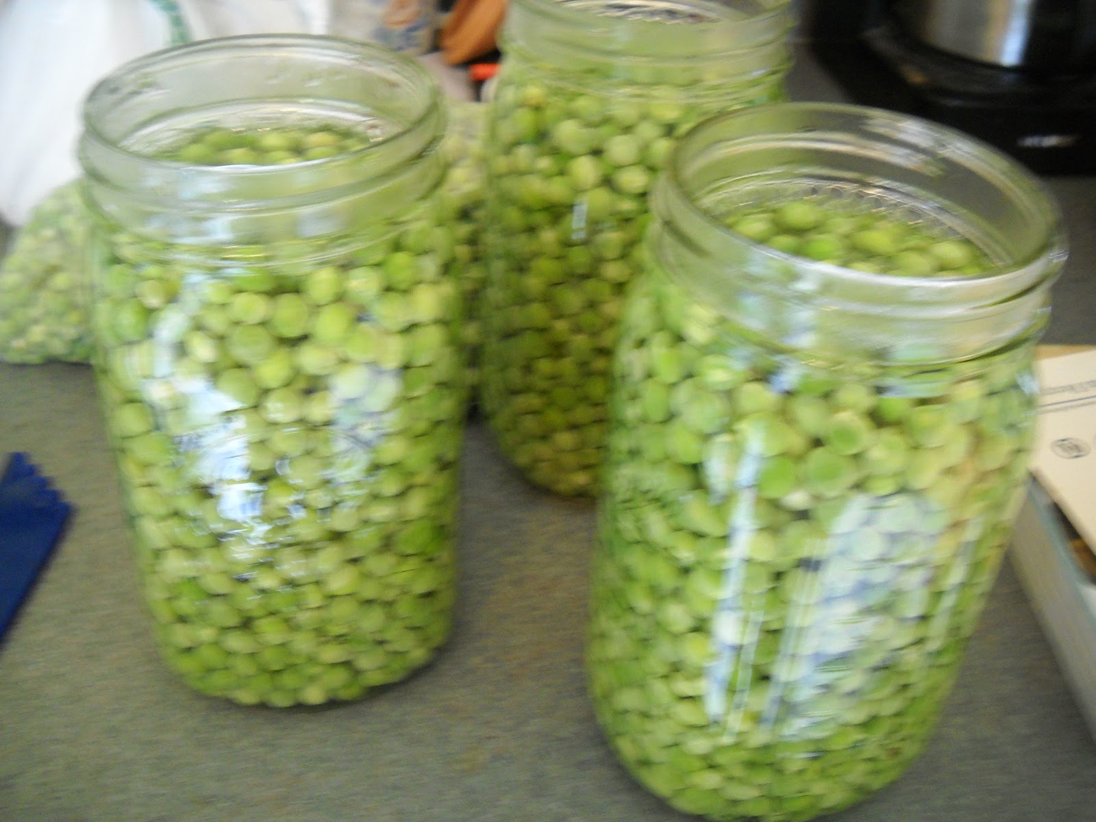 Everyday Blessings Canning Green Peas
