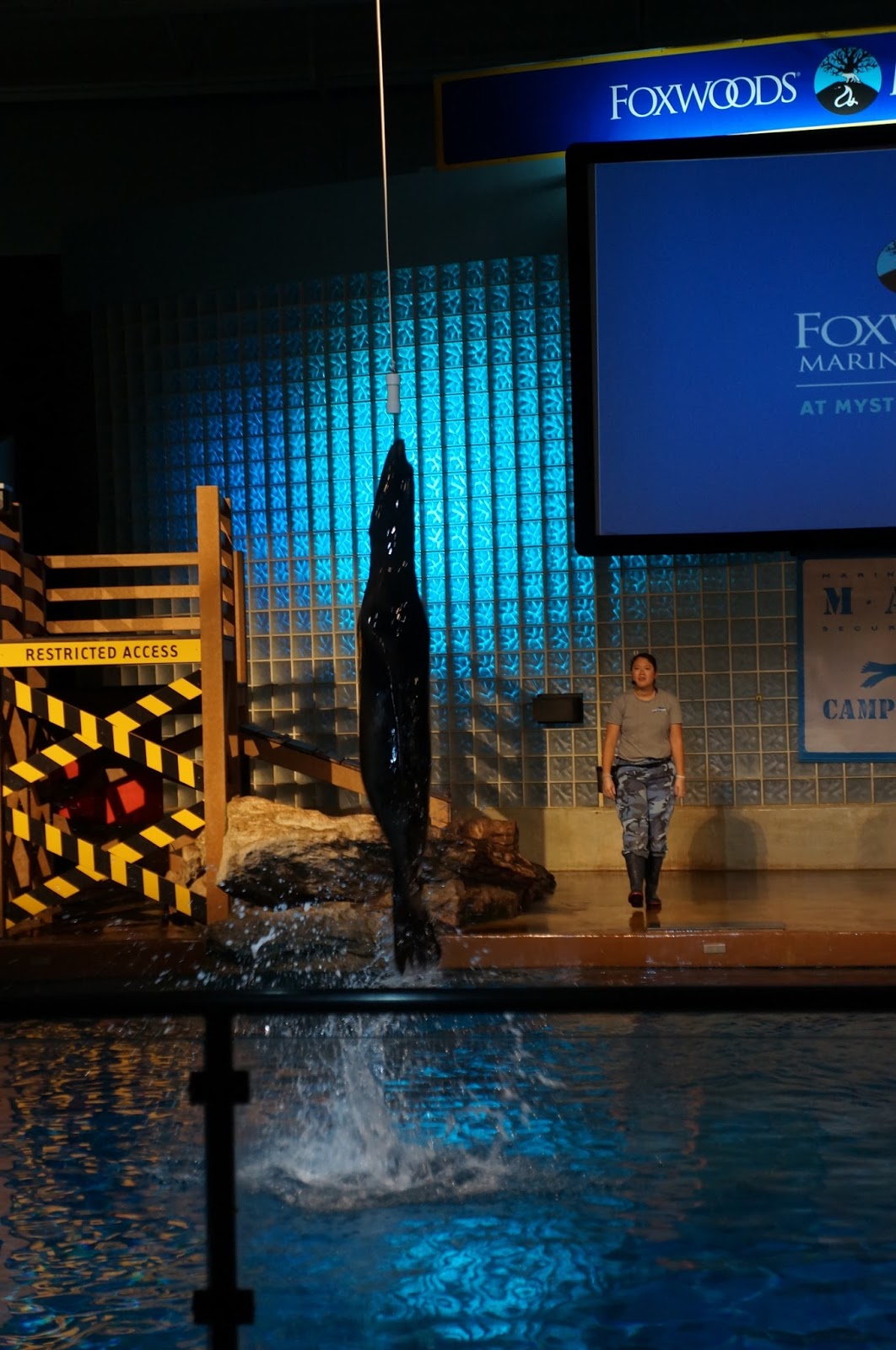 Evan and Lauren�s Cool Blog 8/15/16 Mystic Aquarium So