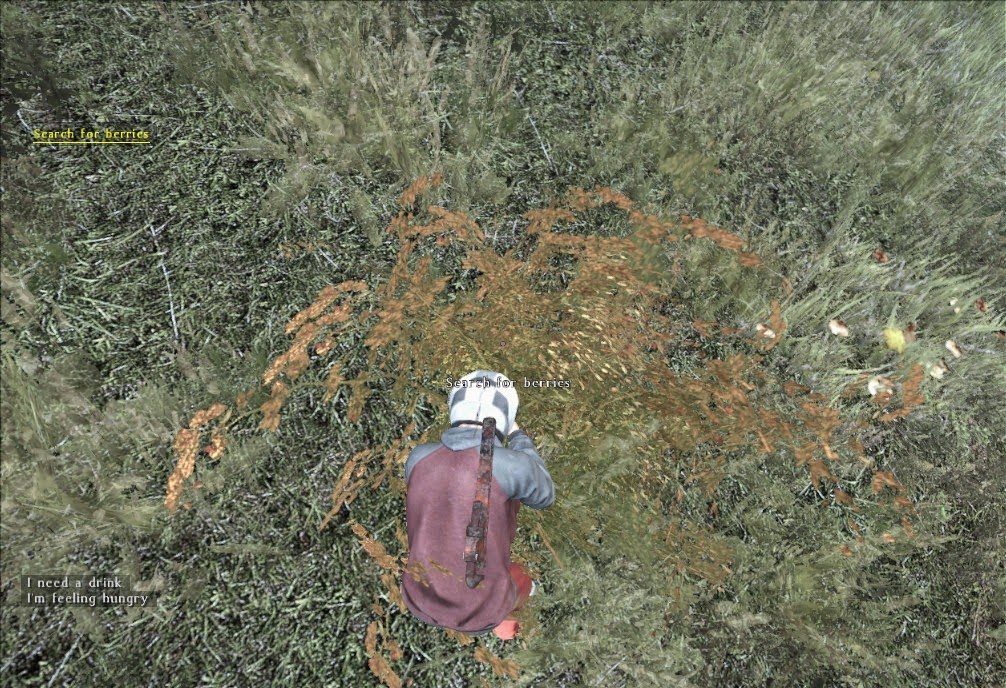 Dayz Insider