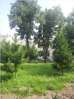 Институт Вишневского Административный корпус Александровская больница