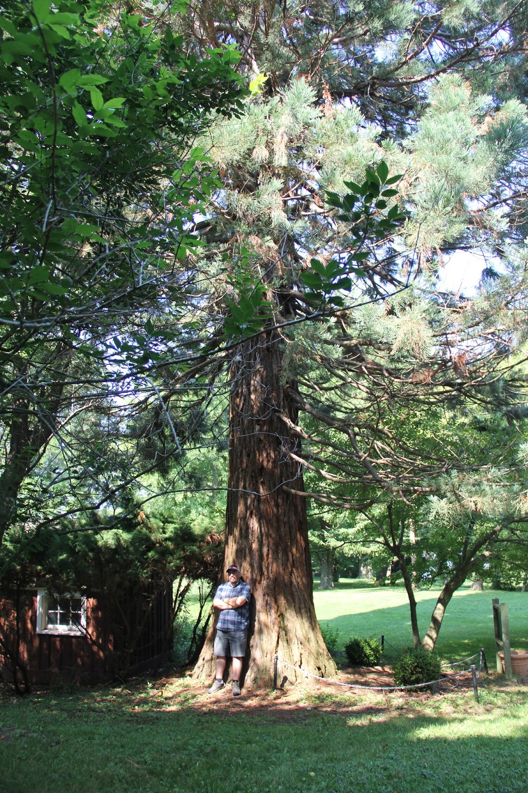 Isabella Conservation District Environmental Education Program Field