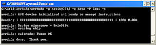 Apagando a Flash com o DAPA - clique para ampliar.