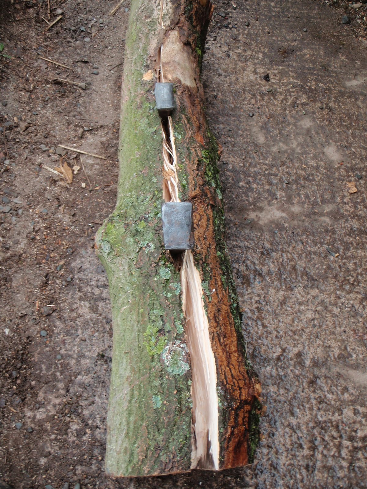 Rustic Creations