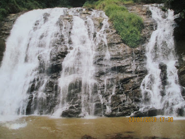 "Abbey Falls" in Coorg.(20-6-2001)