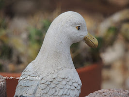 a sea gull figurine