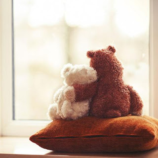 osos de peluche tiernos