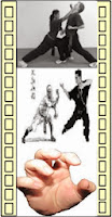 kung fu tiger, tiger claw, tiger techniques