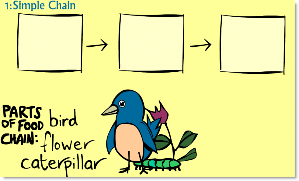 Sheppard S Software Food Chains Sheppard S Software Food Chains