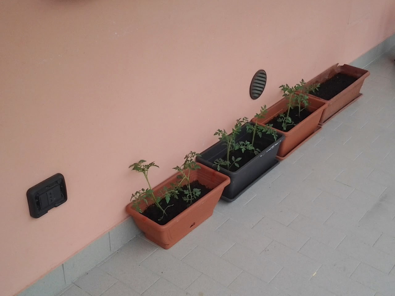 Creando imparo...