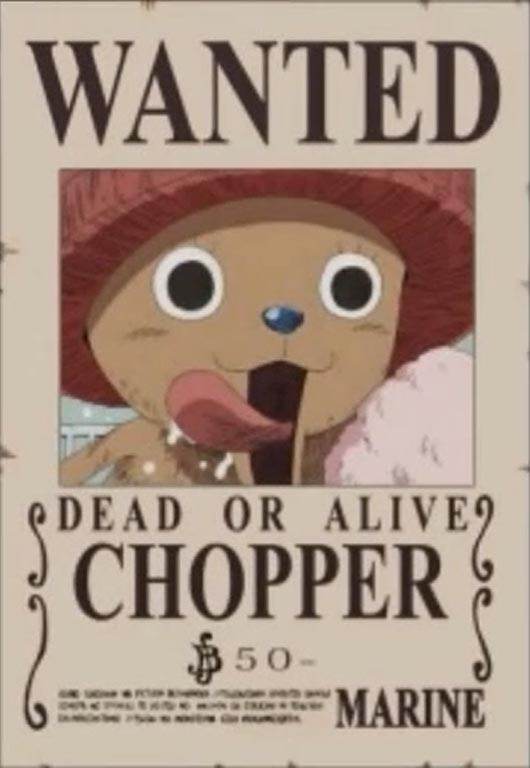 Free Famous Cartoon Pictures One Piece Straw Hat Pirates Wanted Posters