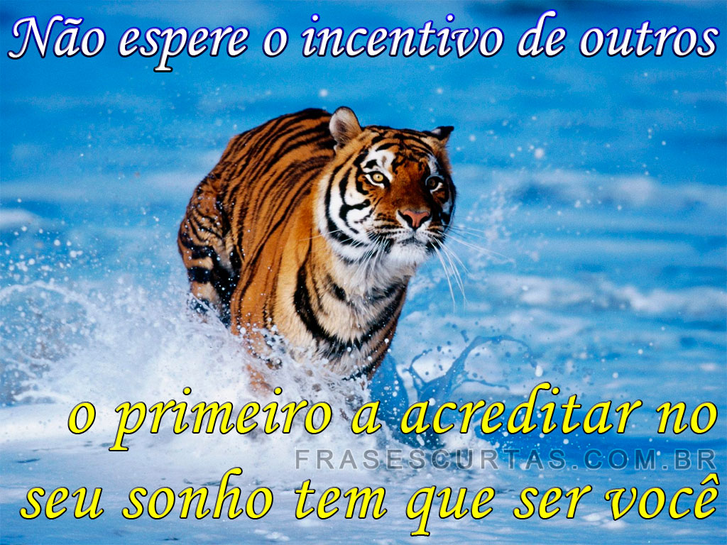 http://4.bp.blogspot.com/-l1V3BOPwGRM/UEToreDLYQI/AAAAAAAAcrM/6dq5dKSvEzI/s1600/frases+-animadoras+(45).jpg