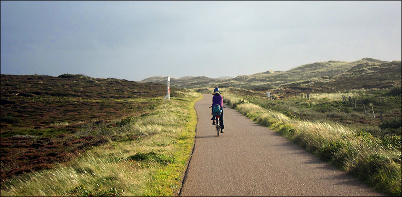 T Tally Reise Nach Sylt