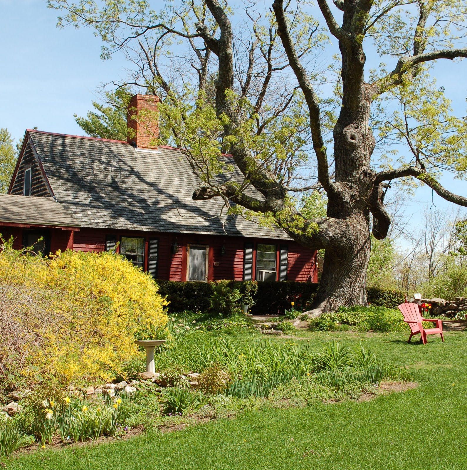 The Spice Garden Pickity Place Lunch and Herbs