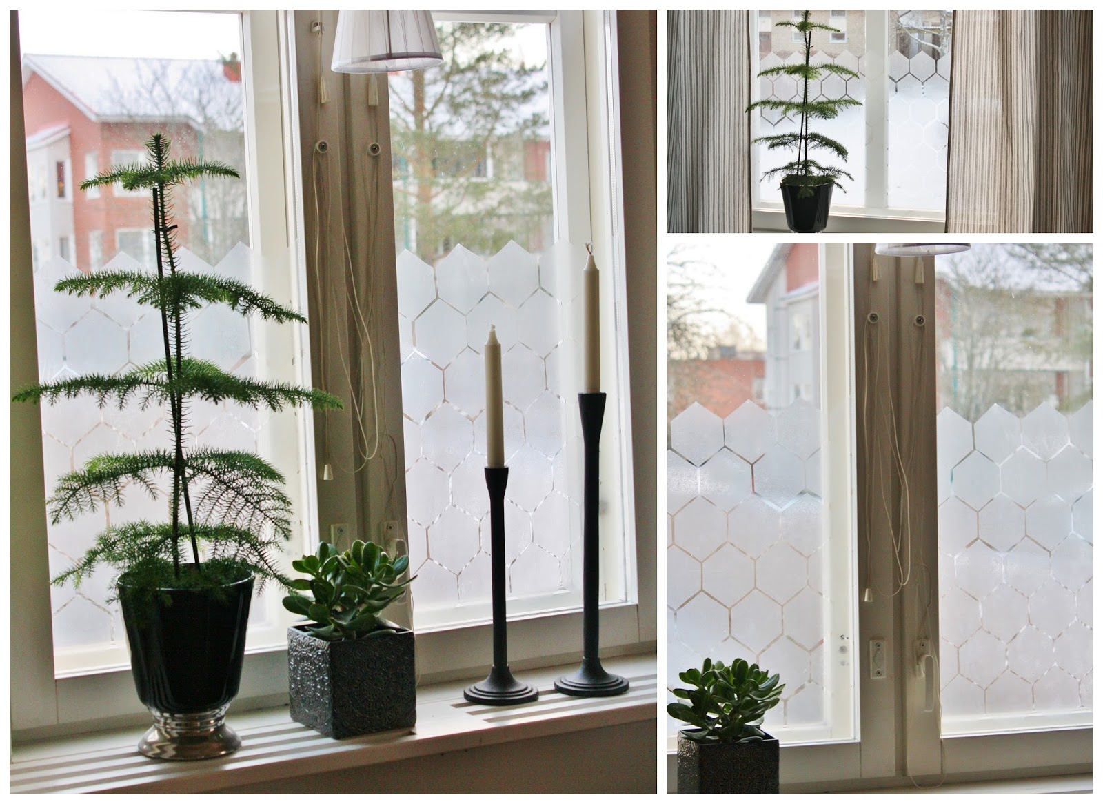 Livets fina stunder: insynsskydd diy