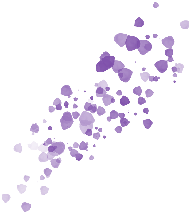 purple flower petals