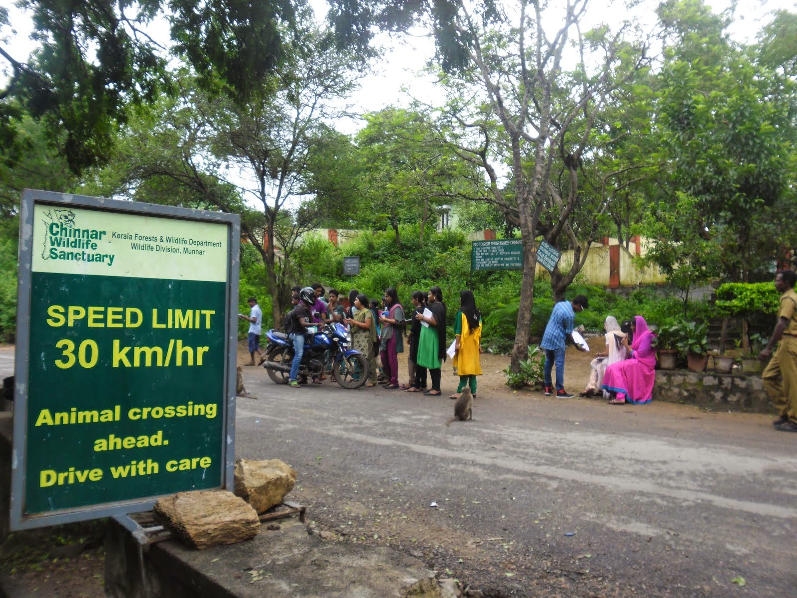 traffic awareness in forest