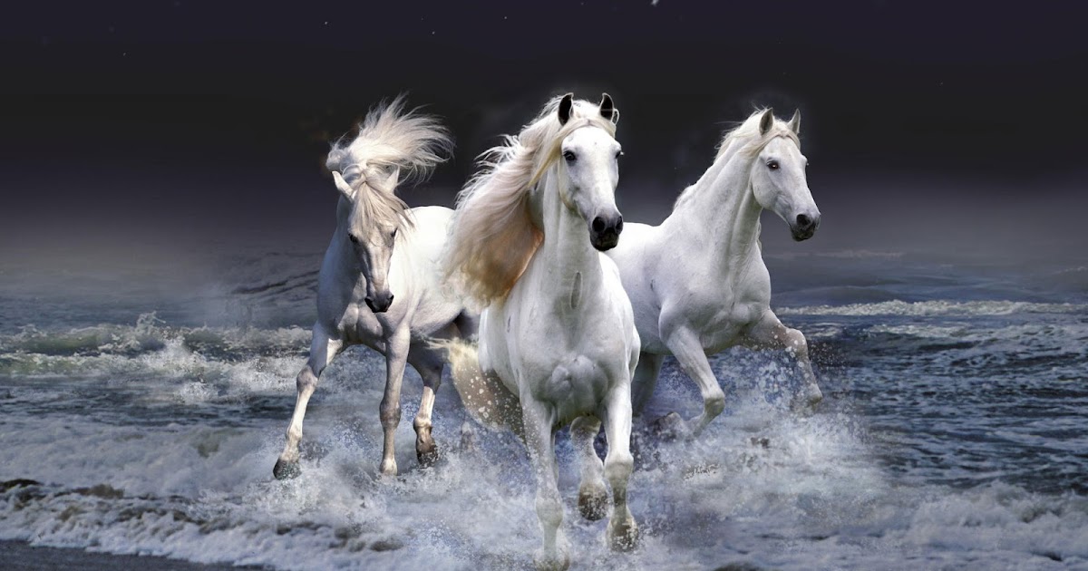 White Horses Wallpapers - Entertainment Only
