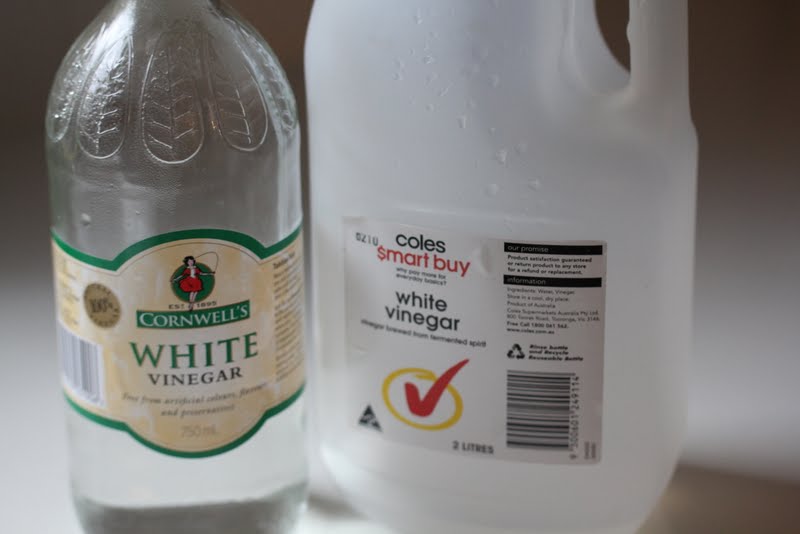 Lilyfield Life How to Clean your Paint Brush with Vinegar