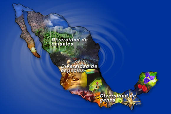 imagenes de biodiversidad