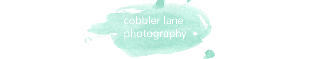 cobbler lane photography