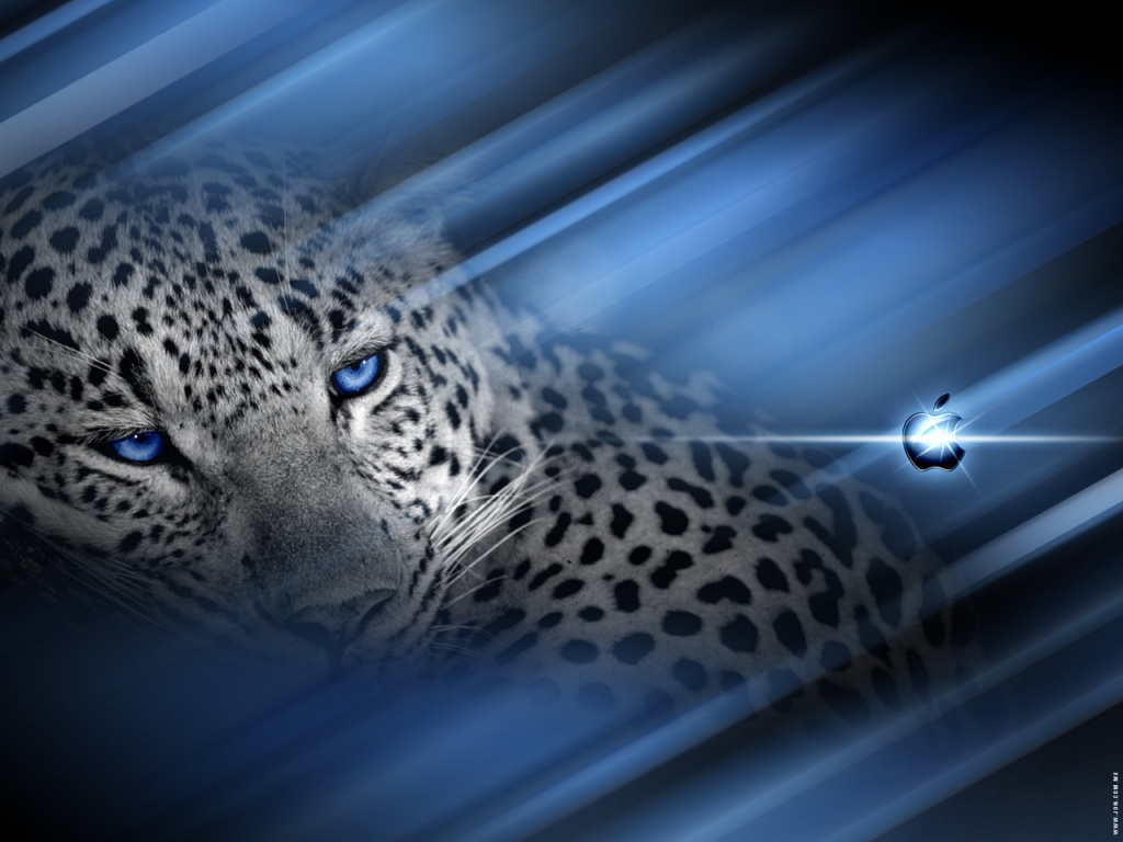 http://4.bp.blogspot.com/-l4D0S9Uq8Nw/TVO2WuP65KI/AAAAAAAAAFI/Yc0kd2HHjK4/s1600/Mac-y-Leopard.jpg