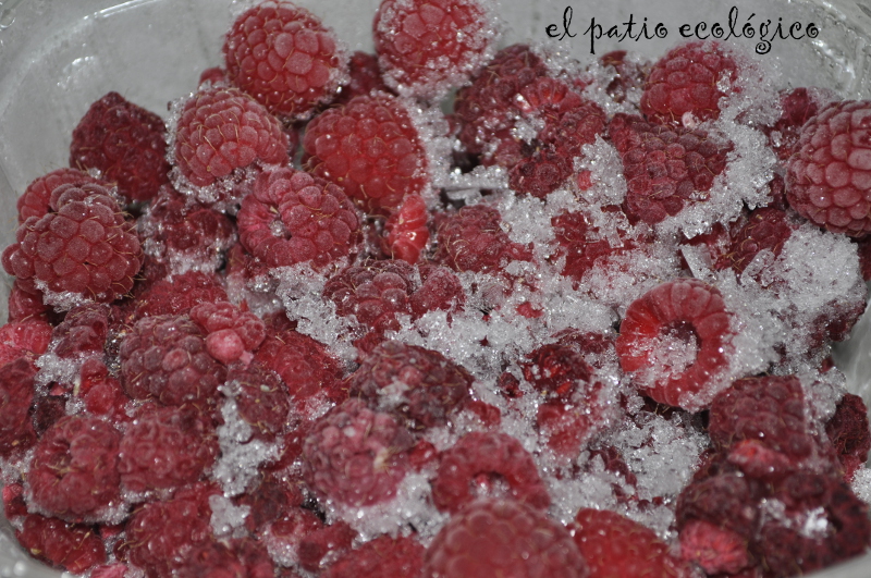 EL PATIO ECOLÓGICO frambuesas congeladas