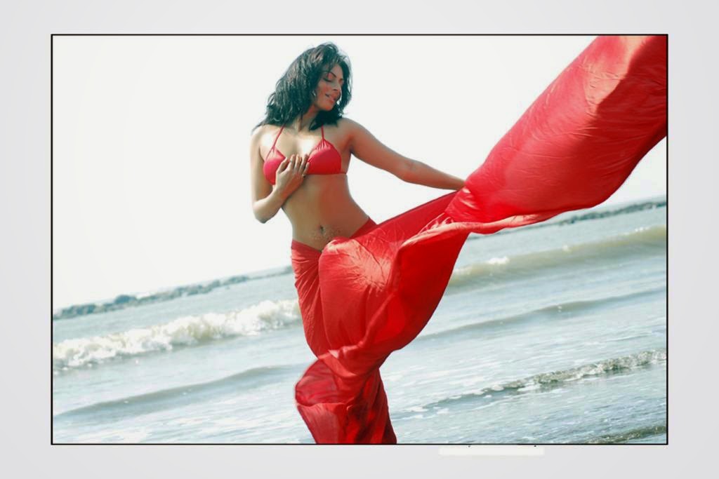 Neeru Bajwa Latest Unseen Rare Hot Photos | Hot Stills, Bikini Pics, HD Free Download NEERU BAJWA IN RED SAREE REMOVING HER BLOUSE UNSEEN HOT SCENES PICS SEX SCENES OF NEERU BAJWA