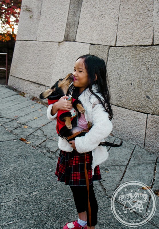 Being kissed by a dog at Osaka Castle Park