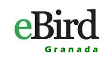 eBird Granada