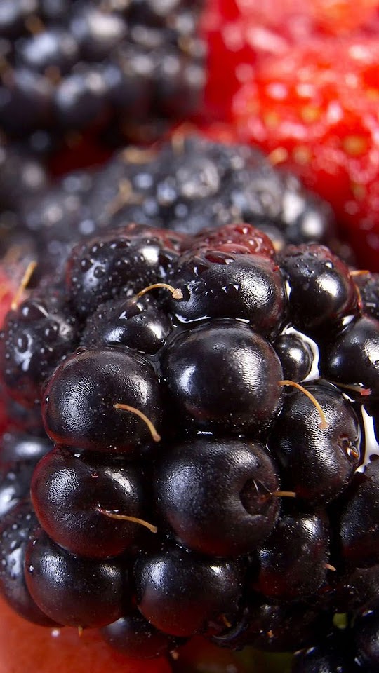 Berries Closeup Summer Fruit  Android Best Wallpaper