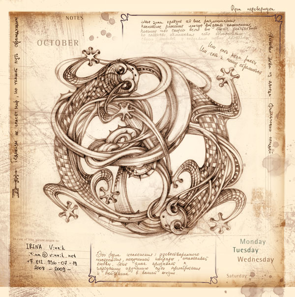 Design Context Year 2: Old Scientific Illustrations