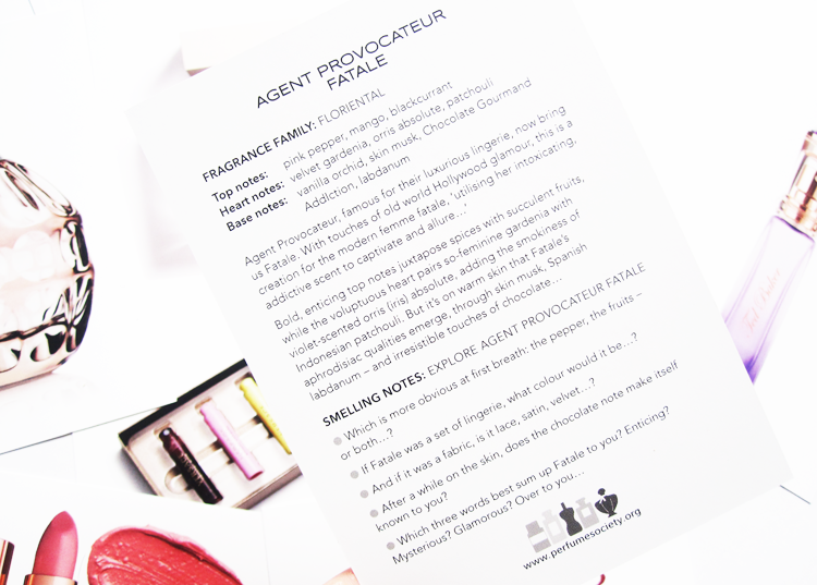 Latest In Beauty Designer Discoveries Box review