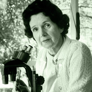 Mi guía e inspiración: bióloga Dra Rachel Carson